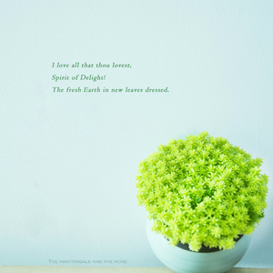 女人被添荫蒂洗澡视频
